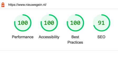 Performance: 100. Barrierefreiheit: 1000. Best Practices: 100. SEO: 91.